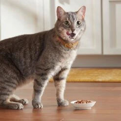 Meow Mix Tender Favorites Surf 'N Turf Variety Pack Cat Food Trays -Almo nature Sales 100241 PT4. AC SS1800 V1670940730