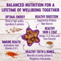 Wellness Complete Health Minced Poultry Pleasers Variety Pack Grain-Free Canned Cat Food -Almo nature Sales 102003 PT6. AC SS1800 V1666650038