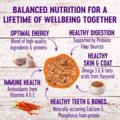 Wellness Complete Health Poultry Lovers Pate Variety Pack Grain-Free Natural Canned Cat Food -Almo nature Sales 102005 PT2. AC SS1800 V1666649679