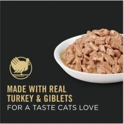 Purina Pro Plan Adult Turkey & Giblets Entree In Gravy Canned Cat Food -Almo nature Sales 102297 PT2. AC SS1800 V1674494921