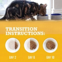 Purina Beyond Grain-Free Pate 3 Flavors Variety Pack Canned Cat Food 18 Purina Beyond Grain-Free Pate 3 Flavors Variety Pack Canned Cat Food -Almo nature Sales 102323 PT7. AC SS1800 V1700162608