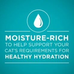 Purina ONE True Instinct Turkey, Chicken & Tuna Variety Pack Canned Cat Food 14 Purina ONE True Instinct Turkey, Chicken & Tuna Variety Pack Canned Cat Food -Almo nature Sales 102381 PT3. AC SS1800 V1560796126