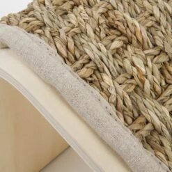 Petlinks Sea Ramp Seagrass Cat Scratcher Toy With Catnip -Almo nature Sales 102661 PT3. AC SS1800 V1639006987