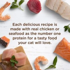 Rachael Ray Nutrish Tuna Purrfection Natural Grain-Free Wet Cat Food -Almo nature Sales 105377 PT3. AC SS1800 V1535580204