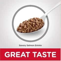 Hill's Science Diet Kitten Savory Salmon Entree Canned Cat Food -Almo nature Sales 110296 PT5. AC SS1800 V1598151378