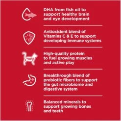 Hill's Science Diet Kitten Liver & Chicken Entree Canned Cat Food -Almo nature Sales 110297 PT3. AC SS1800 V1690570731