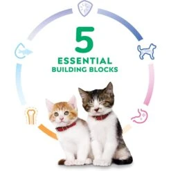 Hill's Science Diet Kitten Liver & Chicken Entree Canned Cat Food -Almo nature Sales 110297 PT4. AC SS1800 V1690565351