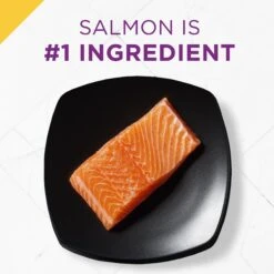 Purina Pro Plan Prime Plus Adult 7+ Salmon & Tuna Entree Classic Canned Cat Food, 3-oz Can, Case Of 24 -Almo nature Sales 111107 PT2. AC SS1800 V1585863093