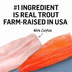 Purina Beyond Grain-Free Trout & Catfish Pate Recipe Canned Cat Food 14 Purina Beyond Grain-Free Trout & Catfish Pate Recipe Canned Cat Food -Almo nature Sales 112042 PT3. AC SS1800 V1699391905