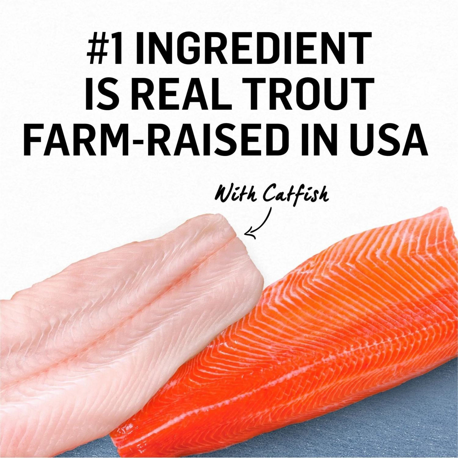 Purina Beyond Grain-Free Trout & Catfish Pate Recipe Canned Cat Food 6 Purina Beyond Grain-Free Trout & Catfish Pate Recipe Canned Cat Food - Image 4