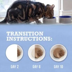 Purina Beyond Grain-Free Trout & Catfish Pate Recipe Canned Cat Food 19 Purina Beyond Grain-Free Trout & Catfish Pate Recipe Canned Cat Food -Almo nature Sales 112042 PT8. AC SS1800 V1700158542