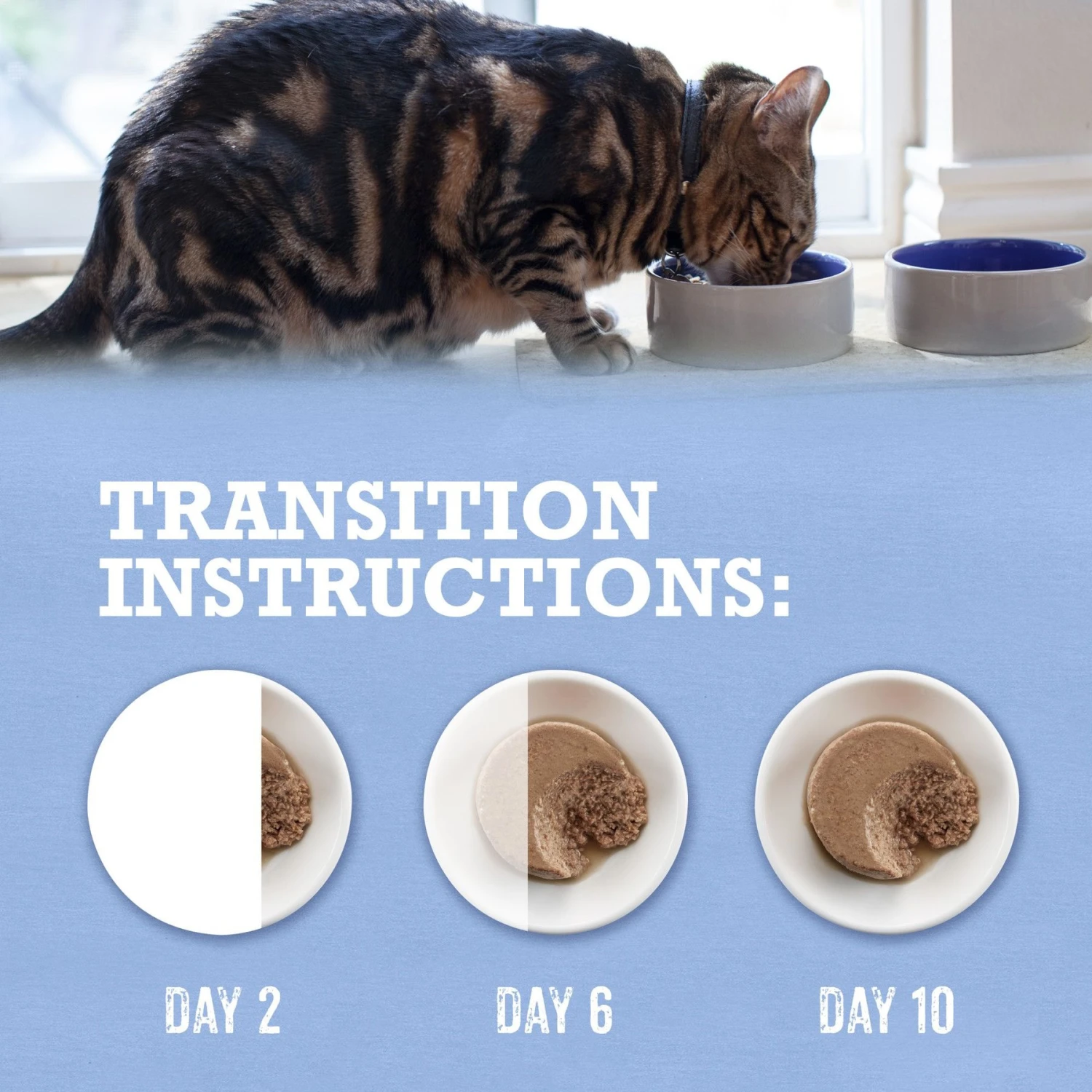 Purina Beyond Grain-Free Trout & Catfish Pate Recipe Canned Cat Food 11 Purina Beyond Grain-Free Trout & Catfish Pate Recipe Canned Cat Food - Image 9