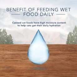 Blue Buffalo Wilderness Pate Kitten Variety Pack With Chicken & Salmon Grain-Free Cat Food -Almo nature Sales 114188 PT6. AC SS1800 V1601027166