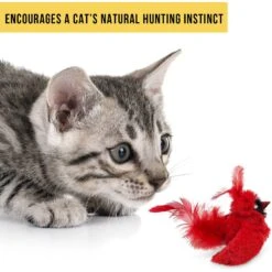 OurPets Play-N-Squeak Real Birds Cardinal Cat Toy -Almo nature Sales 115715 Pt4. AC SS1800 V1583771875