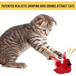 OurPets Play-N-Squeak Real Birds Cardinal Cat Toy -Almo nature Sales 115715 Pt6. AC SS1800 V1583763488