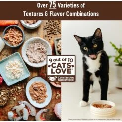 Wellness CORE Natural Grain-Free Turkey & Chicken Liver Pate Canned Kitten Food 16 Wellness CORE Natural Grain-Free Turkey & Chicken Liver Pate Canned Kitten Food -Almo nature Sales 118868 PT6. AC SS1800 V1695826951