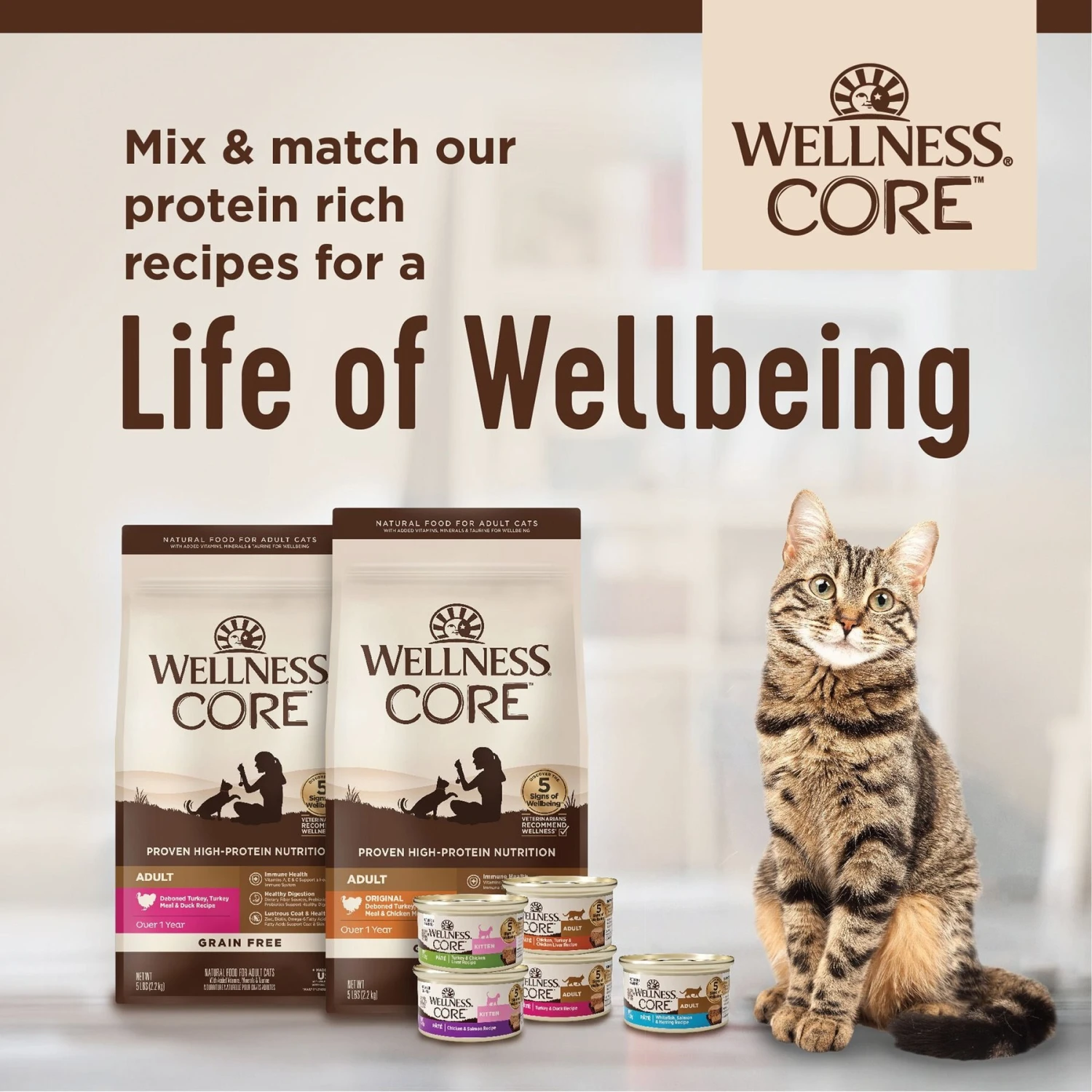Wellness CORE Natural Grain-Free Turkey & Chicken Liver Pate Canned Kitten Food 10 Wellness CORE Natural Grain-Free Turkey & Chicken Liver Pate Canned Kitten Food - Image 8