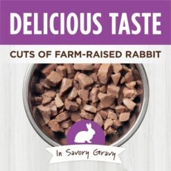 Instinct Healthy Cravings Grain-Free Cuts & Gravy Real Rabbit Recipe Wet Cat Food Topper -Almo nature Sales 122359 PT2. AC SS1800 V1701881947