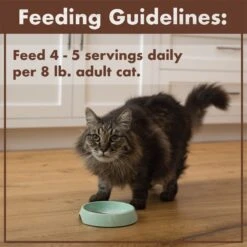 Nutro Perfect Portions Grain-Free Real Salmon & Tuna, Real Chicken & Shrimp Recipe Pate Variety Pack Adult Wet Cat Food Trays -Almo nature Sales 128569 PT7. AC SS1800 V1702678670