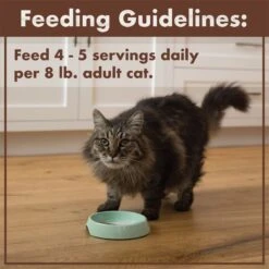 Nutro Perfect Portions Grain-Free Cuts In Gravy Chicken Recipe Adult Wet Cat Food Trays -Almo nature Sales 128571 PT7. AC SS1800 V1702678614
