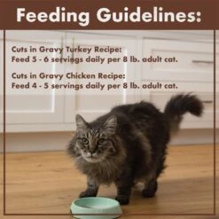 Nutro Perfect Portions Grain-Free Real Turkey & Real Chicken Cuts In Gravy Recipe Variety Pack Adult Wet Cat Food Trays 18 Nutro Perfect Portions Grain-Free Real Turkey & Real Chicken Cuts In Gravy Recipe Variety Pack Adult Wet Cat Food Trays -Almo nature Sales 128587 PT7. AC SS1800 V1702678350