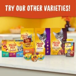 Meow Mix Chunks In Gravy With Real Chicken Breast Wet Cat Food -Almo nature Sales 130528 PT7. AC SS1800 V1674757946