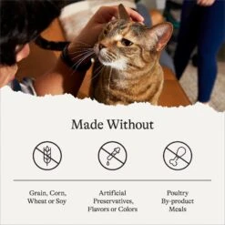 American Journey Pate Poultry & Beef Variety Pack Grain-Free Canned Cat Food -Almo nature Sales 133907 PT5. AC SS1800 V1691676744