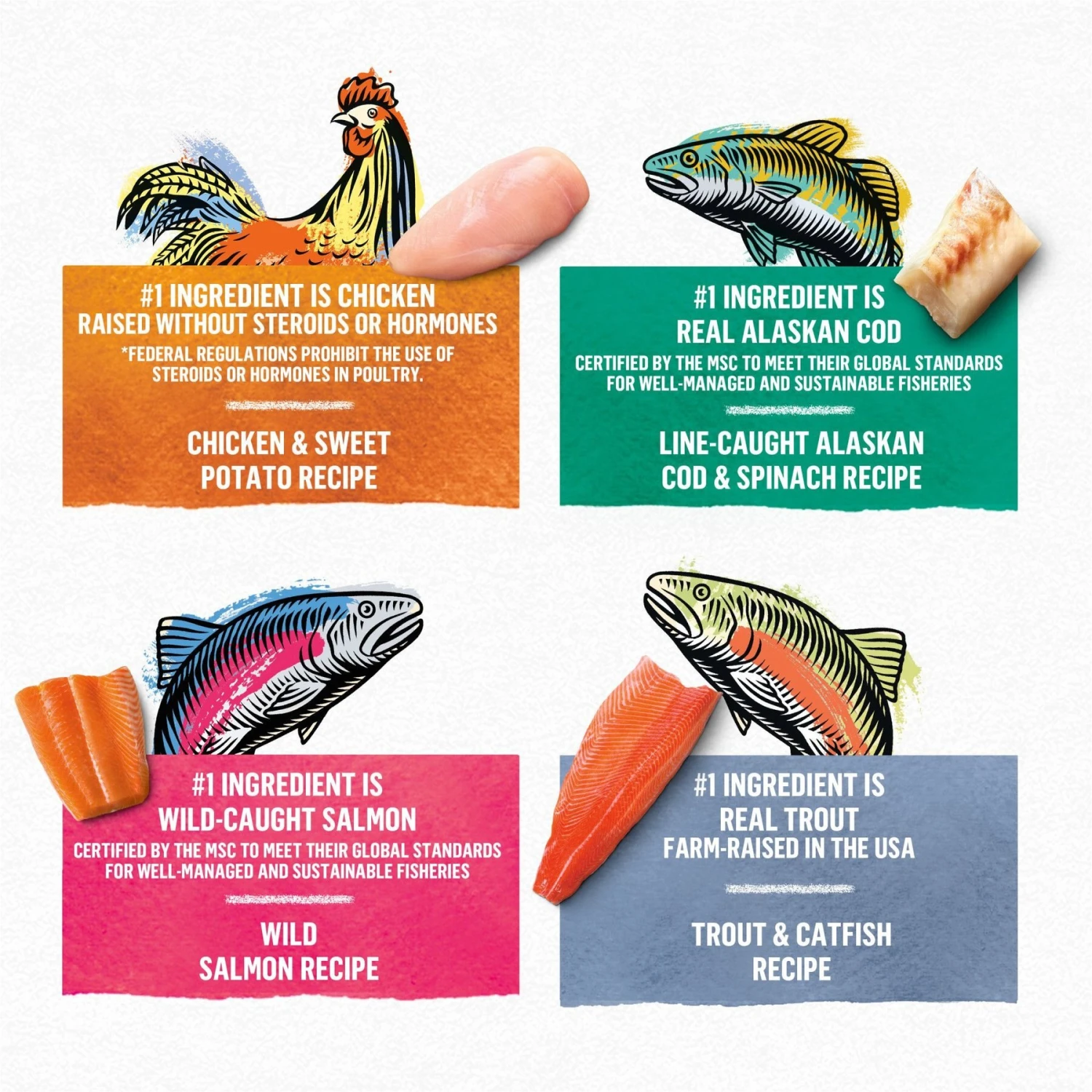 Purina Beyond Grain-Free Pate 4 Flavors Variety Pack Canned Cat Food 5 Purina Beyond Grain-Free Pate 4 Flavors Variety Pack Canned Cat Food - Image 3