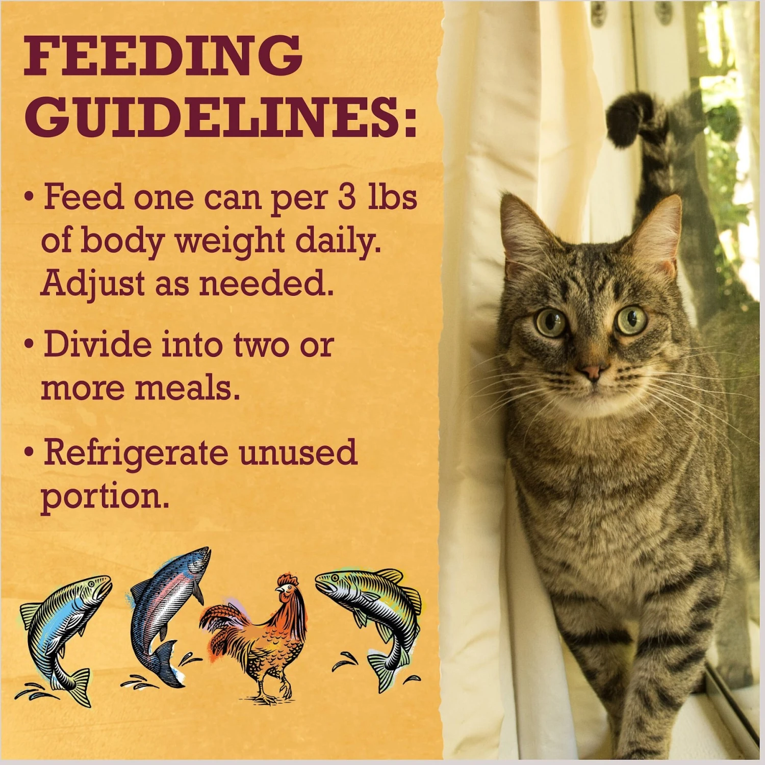 Purina Beyond Grain-Free Pate 4 Flavors Variety Pack Canned Cat Food 11 Purina Beyond Grain-Free Pate 4 Flavors Variety Pack Canned Cat Food - Image 9