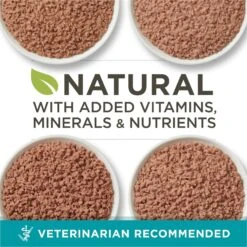 Purina ONE Grain-Free Variety Pack Natural High Protein Canned Cat Food, 3-oz, Case Of 24 13 Purina ONE Grain-Free Variety Pack Natural High Protein Canned Cat Food, 3-oz, Case Of 24 -Almo nature Sales 140462 PT2. AC SS1800 V1657655538