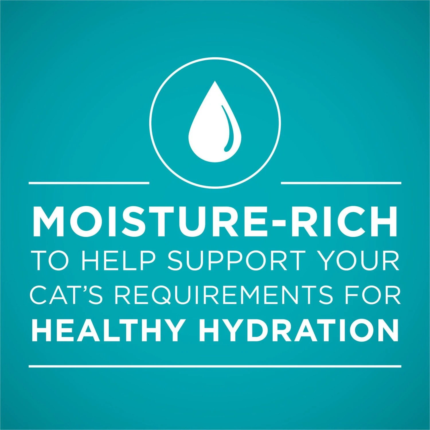 Purina ONE Grain-Free Variety Pack Natural High Protein Canned Cat Food, 3-oz, Case Of 24 6 Purina ONE Grain-Free Variety Pack Natural High Protein Canned Cat Food, 3-oz, Case Of 24 - Image 4