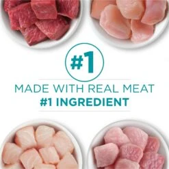 Purina ONE Grain-Free Variety Pack Natural High Protein Canned Cat Food, 3-oz, Case Of 24 15 Purina ONE Grain-Free Variety Pack Natural High Protein Canned Cat Food, 3-oz, Case Of 24 -Almo nature Sales 140462 PT4. AC SS1800 V1657655538