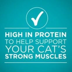 Purina ONE True Instinct 4 Flavors Variety Pack Canned Cat Food -Almo nature Sales 140464 PT6. AC SS1800 V1641587578