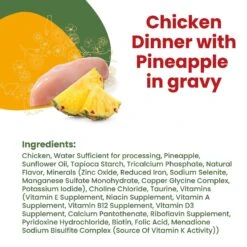 Almo Nature HQS La Cucina Chicken With Pineapple Grain-Free Cat Food Pouches -Almo nature Sales 141493 PT3. AC SS1800 V1639526505