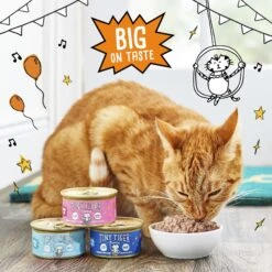 Tiny Tiger Pate Seafood Recipe Grain-Free Canned Cat Food -Almo nature Sales 141879 PT4. AC SS1800 V1687284094