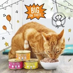 Tiny Tiger Pate Turkey & Giblets Recipe Grain-Free Canned Cat Food 15 Tiny Tiger Pate Turkey & Giblets Recipe Grain-Free Canned Cat Food -Almo nature Sales 141881 PT4. AC SS1800 V1687286227