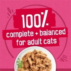 Friskies Surfin' & Turfin' Favorites Variety Pack Canned Cat Food -Almo nature Sales 142563 PT4. AC SS1800 V1700160938