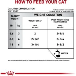 Royal Canin Veterinary Diet Adult Satiety Support Weight Management Thin Slices In Gravy Canned Cat Food -Almo nature Sales 144955 PT2. AC SS1800 V1641858127