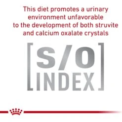 Royal Canin Veterinary Diet Adult Satiety Support Weight Management Thin Slices In Gravy Canned Cat Food -Almo nature Sales 144955 PT4. AC SS1800 V1641855125