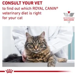 Royal Canin Veterinary Diet Adult Satiety Support Weight Management Thin Slices In Gravy Canned Cat Food -Almo nature Sales 144955 PT5. AC SS1800 V1641860790
