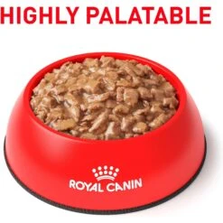 Royal Canin Veterinary Diet Adult Satiety Support Weight Management Thin Slices In Gravy Canned Cat Food -Almo nature Sales 144955 PT7. AC SS1800 V1641854492