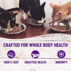 Wellness Healthy Indulgence Morsels Grain-Free Variety Pack Cat Food Pouches 12 Wellness Healthy Indulgence Morsels Grain-Free Variety Pack Cat Food Pouches -Almo nature Sales 145537 PT2. AC SS1800 V1621982576