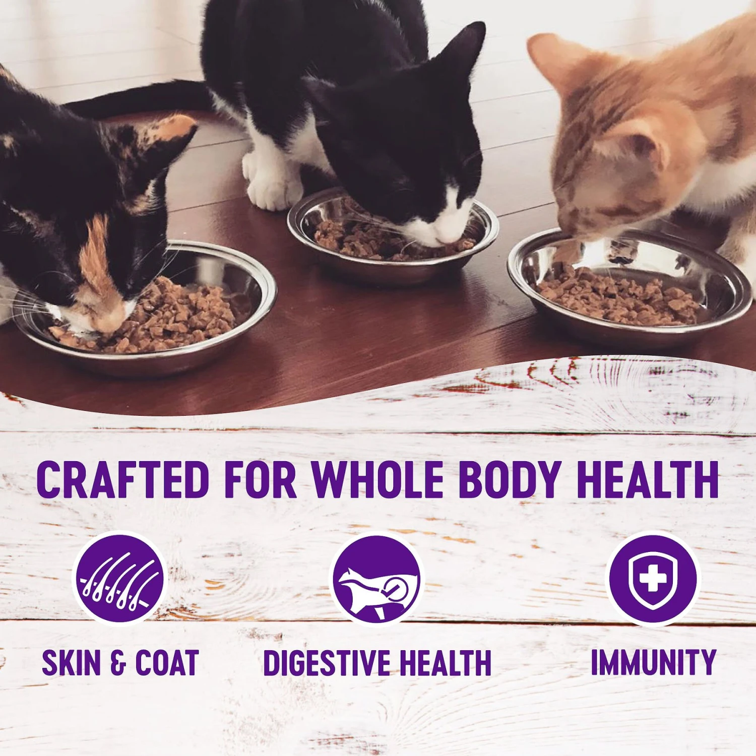 Wellness Healthy Indulgence Morsels Grain-Free Variety Pack Cat Food Pouches 5 Wellness Healthy Indulgence Morsels Grain-Free Variety Pack Cat Food Pouches - Image 3
