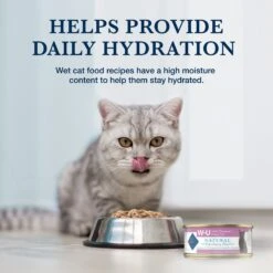 Blue Buffalo Natural Veterinary Diet W+U Weight Management + Urinary Care Grain-Free Wet Cat Food 16 Blue Buffalo Natural Veterinary Diet W+U Weight Management + Urinary Care Grain-Free Wet Cat Food -Almo nature Sales 147688 PT6. AC SS1800 V1695083932