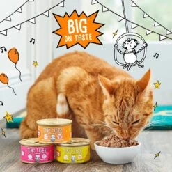 Tiny Tiger Chunks In EXTRA Gravy Turkey Recipe Grain-Free Canned Cat Food -Almo nature Sales 147776 PT4. AC SS1800 V1671720956