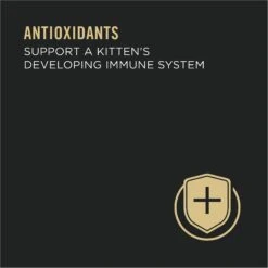 Purina Pro Plan Classic Salmon & Tuna Grain-Free Kitten Entree Canned Cat Food 14 Purina Pro Plan Classic Salmon & Tuna Grain-Free Kitten Entree Canned Cat Food -Almo nature Sales 147934 PT3. AC SS1800 V1645818129