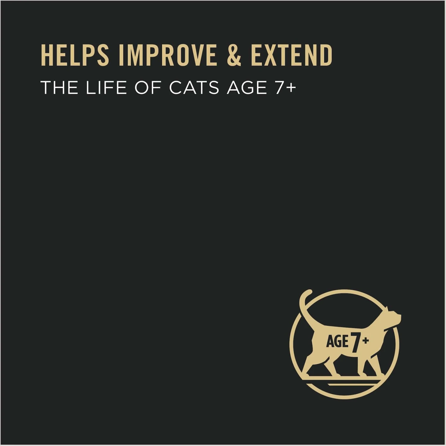 Purina Pro Plan Prime Plus 7+ Classic Cod & Shrimp Grain-Free Entree Canned Cat Food 6 Purina Pro Plan Prime Plus 7+ Classic Cod & Shrimp Grain-Free Entree Canned Cat Food - Image 4