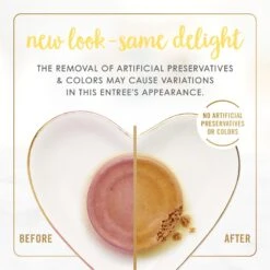 Fancy Feast Kitten Tender Salmon Feast Canned Cat Food 13 Fancy Feast Kitten Tender Salmon Feast Canned Cat Food -Almo nature Sales 149827 PT2. AC SS1800 V1691417414