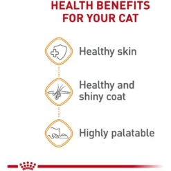 Royal Canin Feline Care Nutrition Hair & Skin Care Chunks In Gravy Pouch Cat Food, 3-oz, Case Of 12 -Almo nature Sales 151283 PT3. AC SS1800 V1697761937