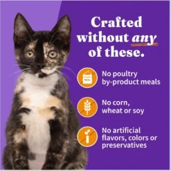 Halo Chicken Recipe With Real Whole Chicken Grain-Free Kitten Wet Food -Almo nature Sales 153680 PT5. AC SS1800 V1682351624